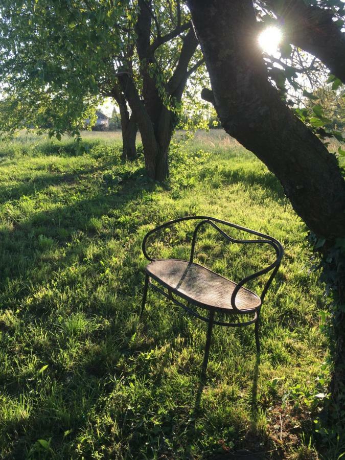 Bed & Breakfast Il Mio Gelso Villanova d'Asti エクステリア 写真