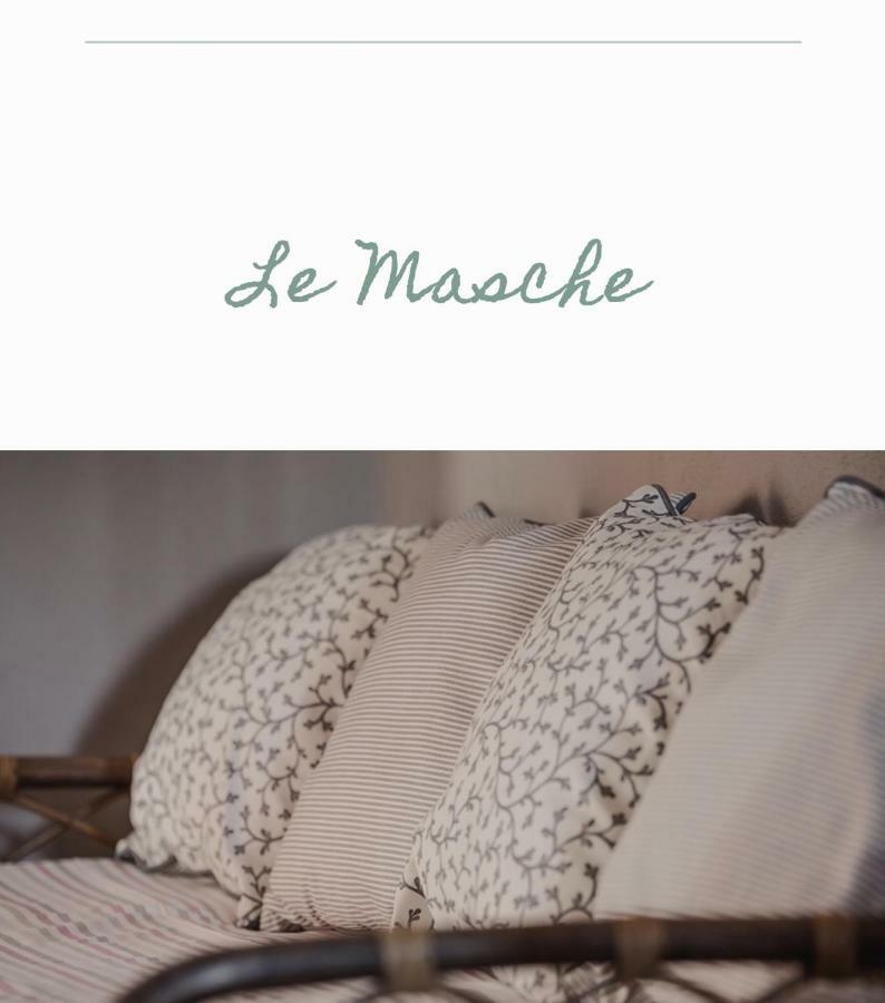 Bed & Breakfast Il Mio Gelso Villanova d'Asti エクステリア 写真