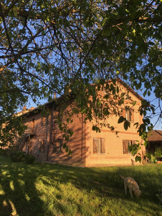 Bed & Breakfast Il Mio Gelso Villanova d'Asti エクステリア 写真